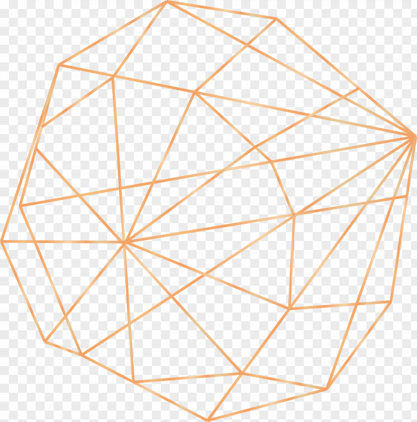 GEOMETRIC LINES Solid Geometry Beach Rose PNG