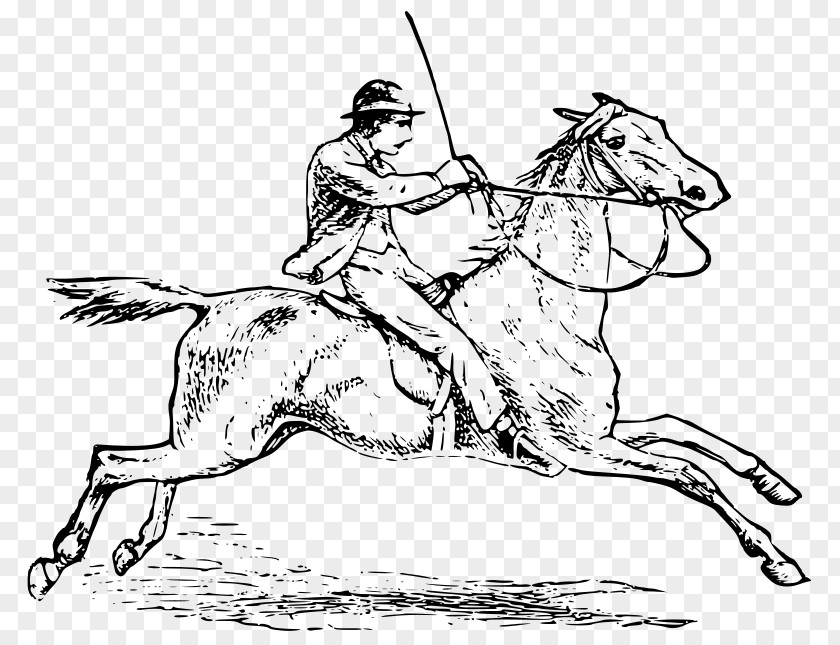 Horse Riding Equestrian English Clip Art PNG