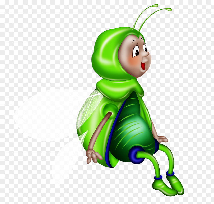 Insect Animation PNG