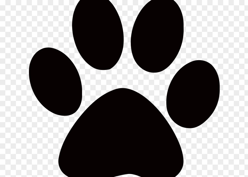 Panda Paw Dog Clip Art PNG