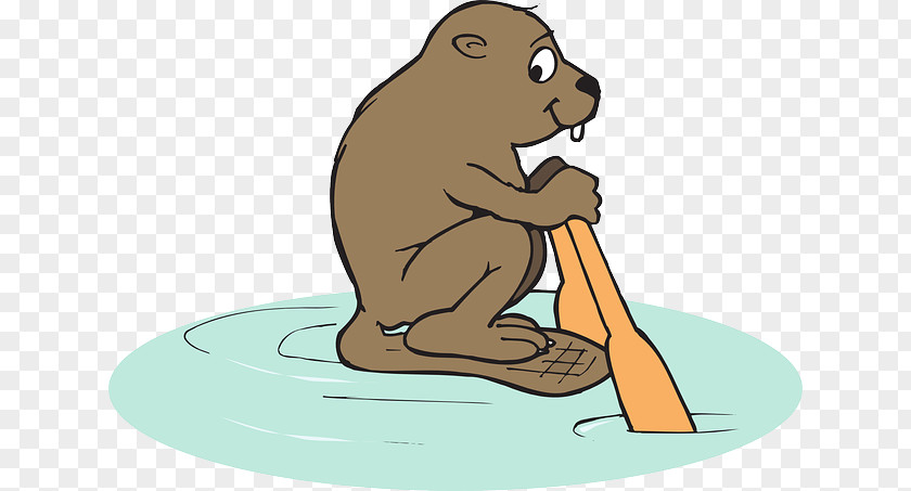 Beaver Cartoon American Mammal Animal Clip Art PNG