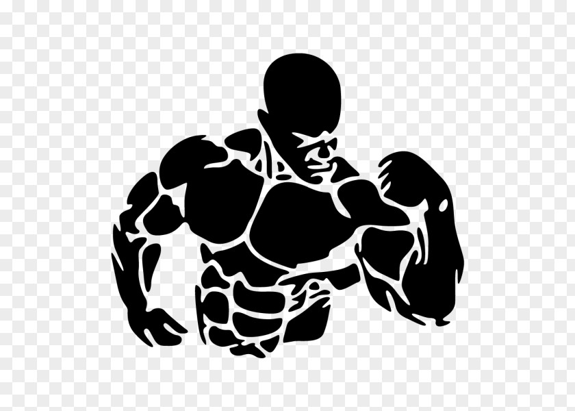 Bodybuilding Wall Decal Sticker Fitness Centre PNG