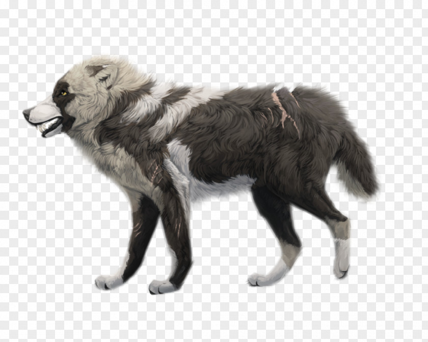 Dog Breed Canadian Eskimo DeviantArt Snarl PNG