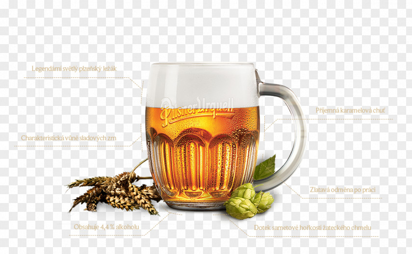 Beer Pilsner Czech Cuisine Пилзнер Drink PNG