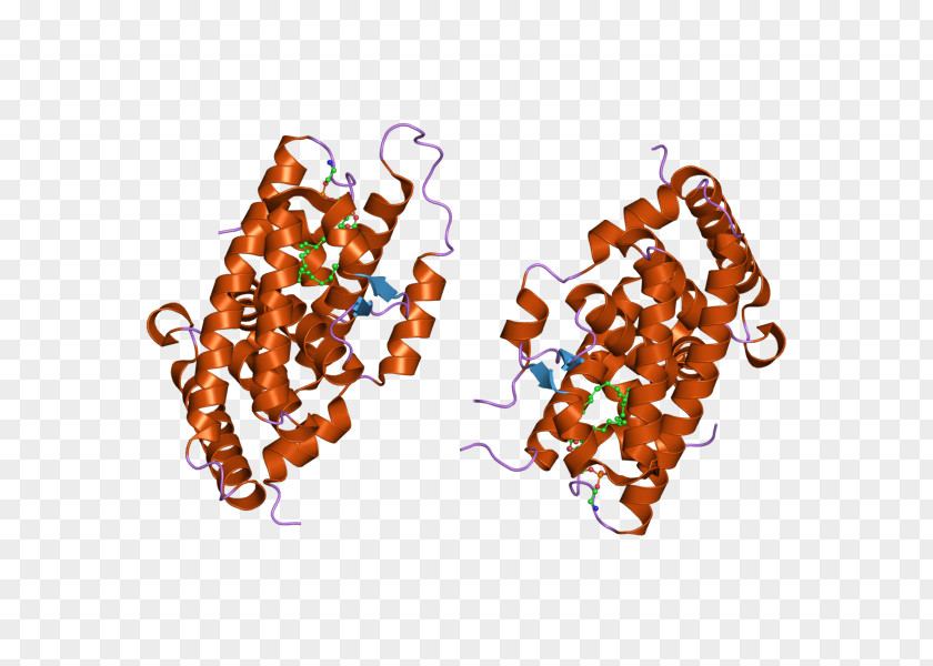 Cortisone Steroidogenic Factor 1 XY Gonadal Dysgenesis Acute Regulatory Protein Sex-determination System PNG