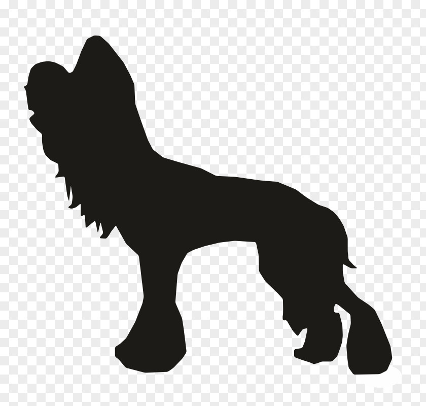 Dog Breed Cat Black Clip Art PNG