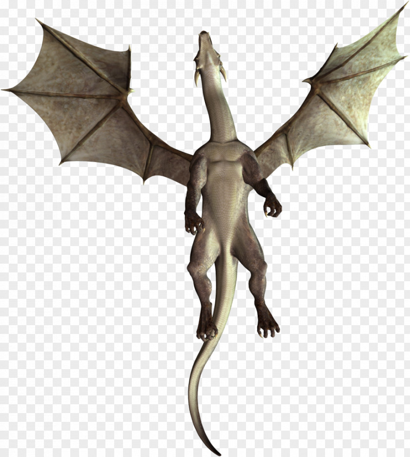 Dragon Dinosaur Clip Art PNG