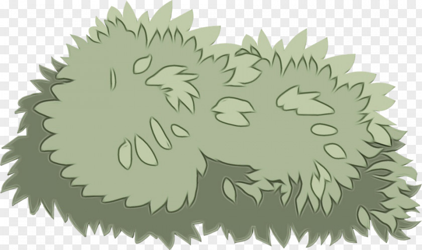 Drawing Plant Cat PNG