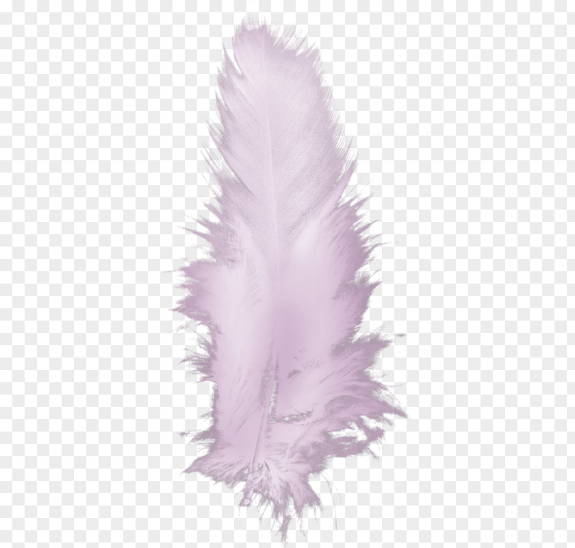 Hand-painted Feathers Feather Bird Drawing PNG