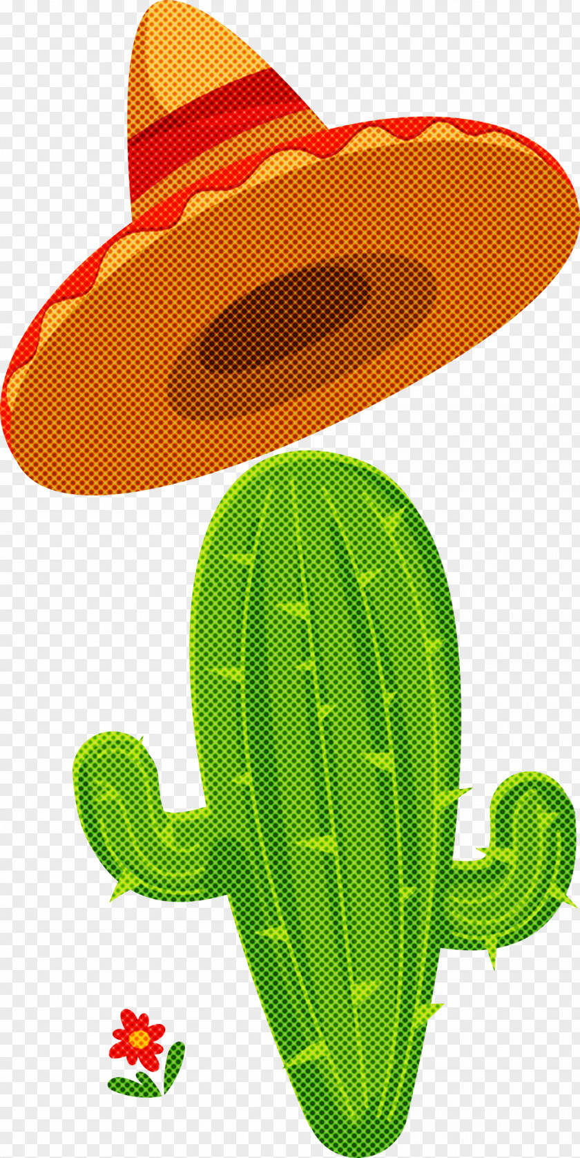 Mexico Elements PNG