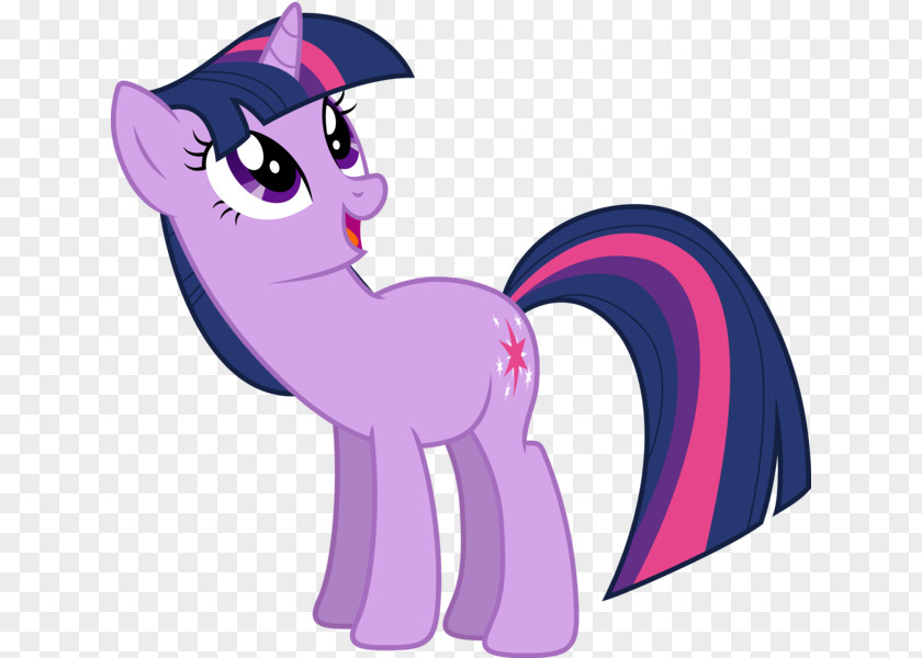 My Little Pony Twilight Sparkle Rainbow Dash Winged Unicorn PNG