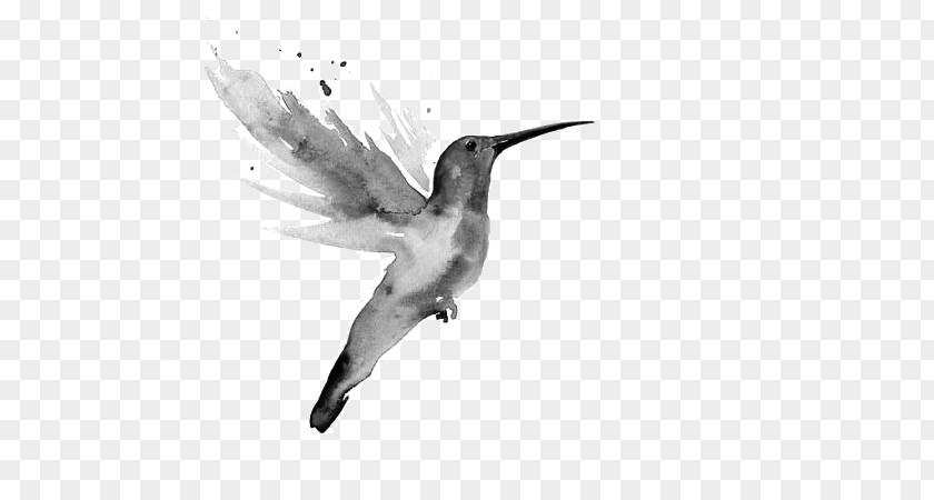 Painting Watercolor Art Hummingbird 水彩色鉛筆 PNG
