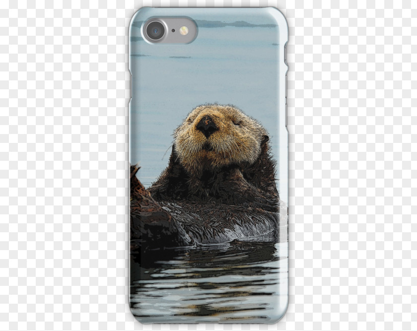 Sea Otter IPhone 7 Mouse Mats Alaska 6S PNG