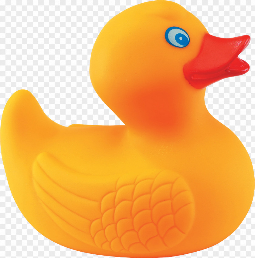 Duck Rubber Natural Gum PNG