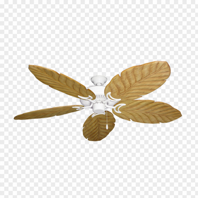 Fan Palm Ceiling Fans Insect Bronze Blade PNG