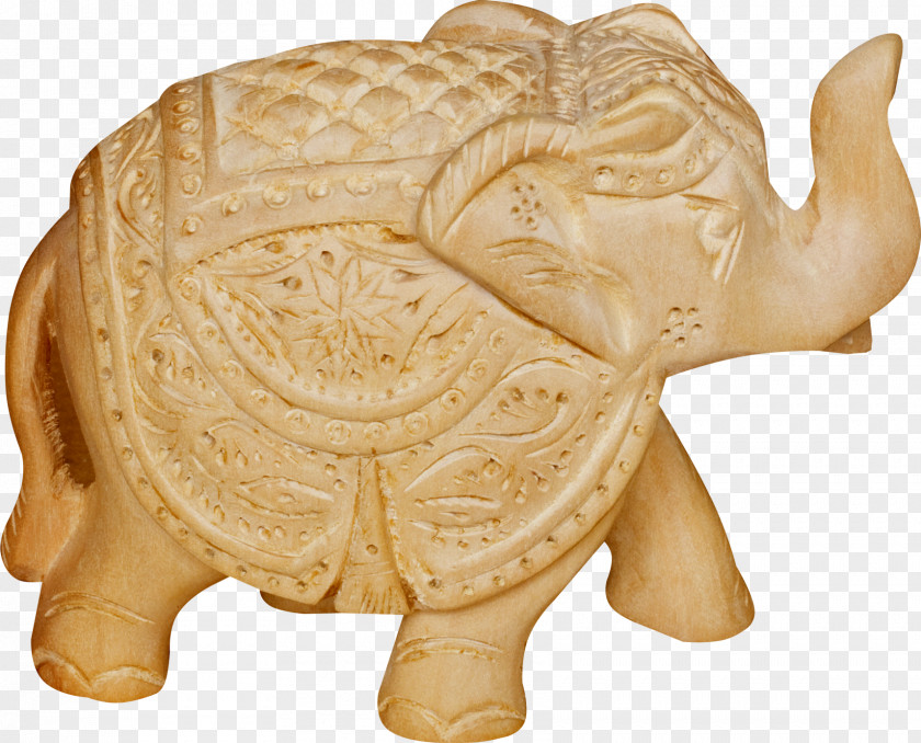 Fawn Tortoise India Ornament PNG