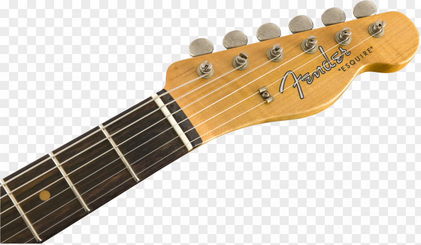 Guitar Fender Stratocaster Stevie Ray Vaughan Telecaster Musical Instruments Corporation PNG