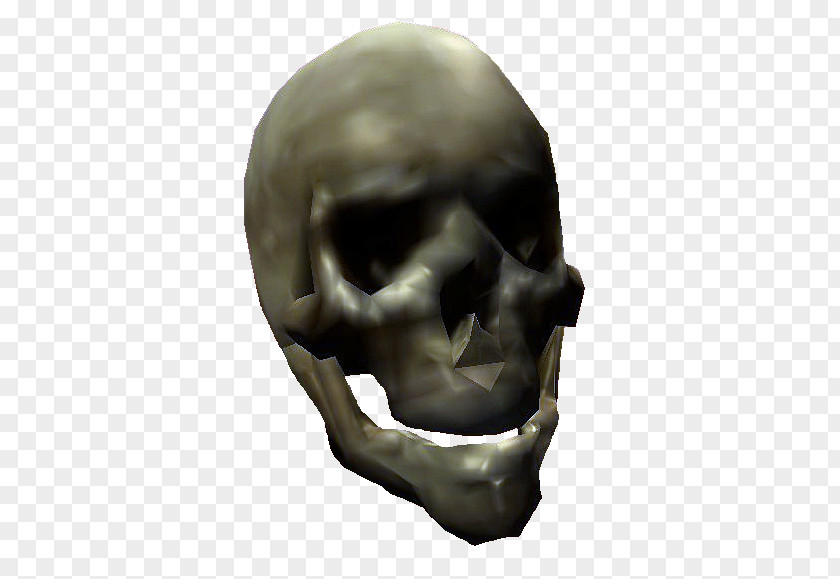 Skull Oblivion Minecraft Scrolls Bone PNG