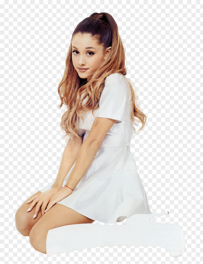 Ariana Grande Singer-songwriter Photography One Last Time PNG