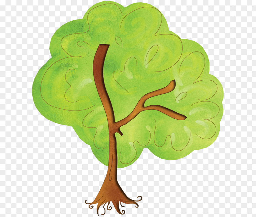 Blunder Vector Tree Leaf Clip Art Genealogy PNG