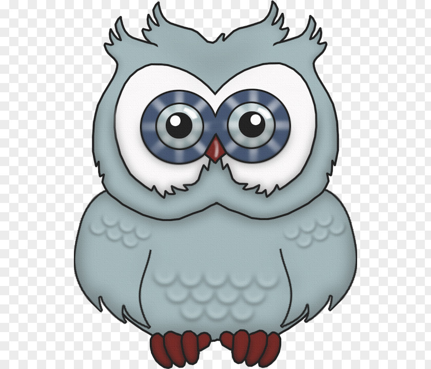 Cool Owl Little Bird Clip Art PNG