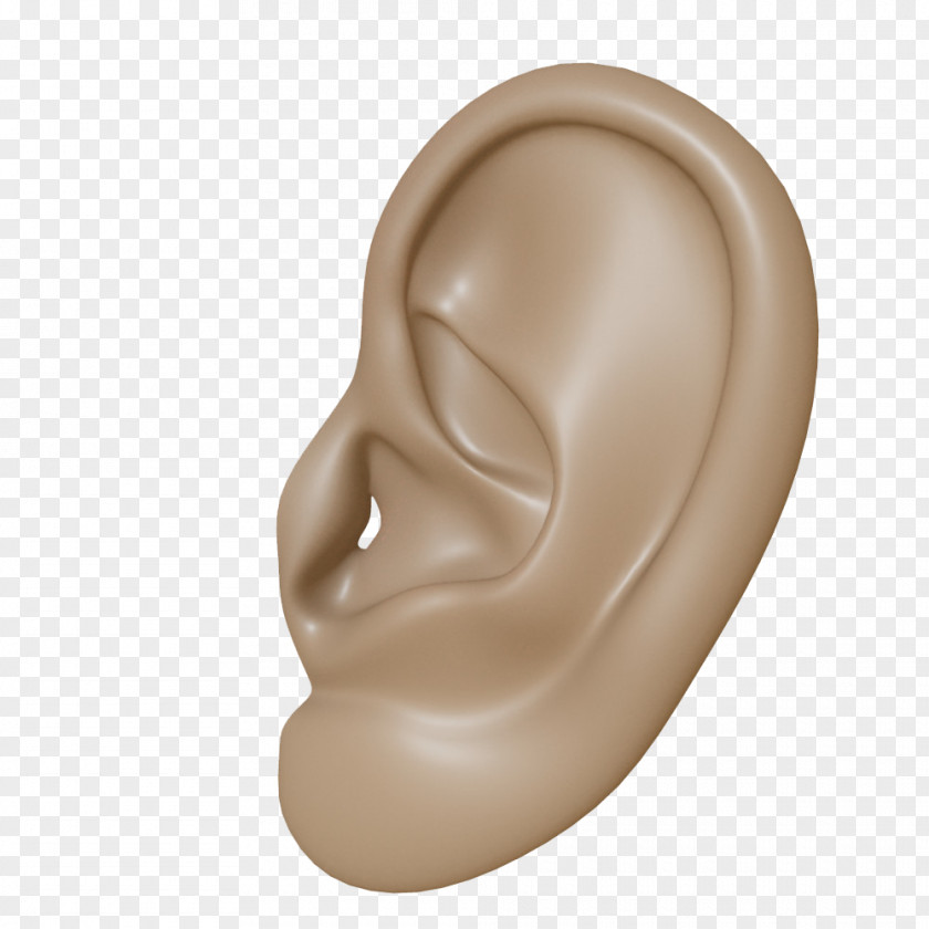 Ear Clipart Image File Formats Lossless Compression Raster Graphics PNG