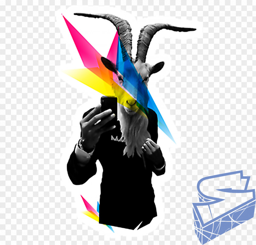 Feather Desktop Wallpaper Beak Clip Art PNG