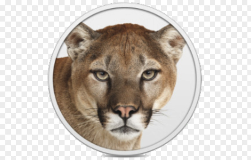 Meng Da MacBook Pro OS X Mountain Lion Mac MacOS PNG