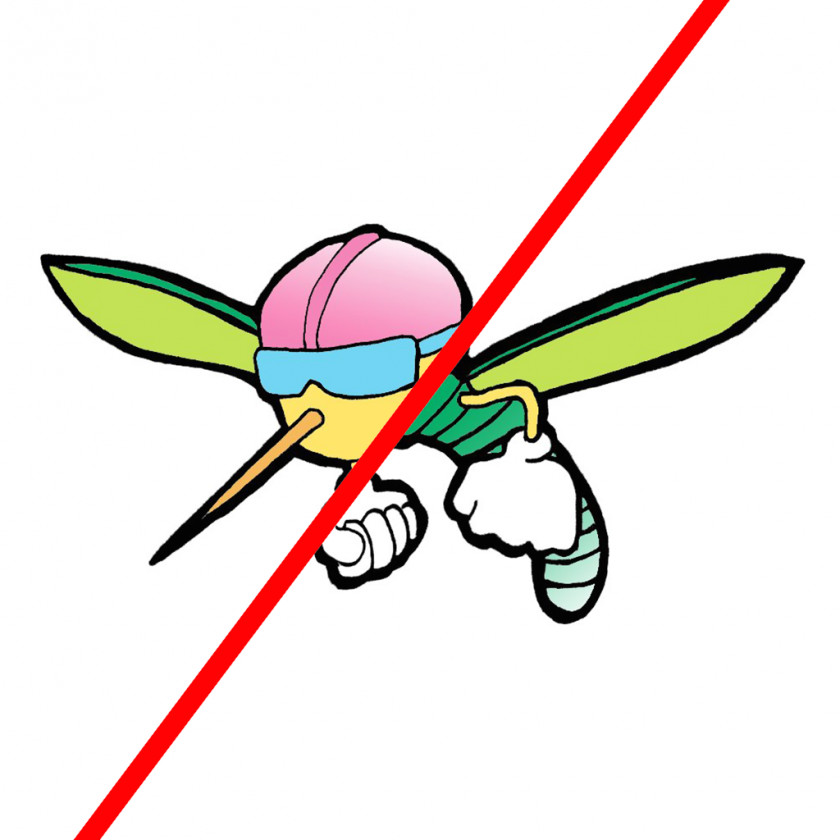 Mosquito Insect PNG