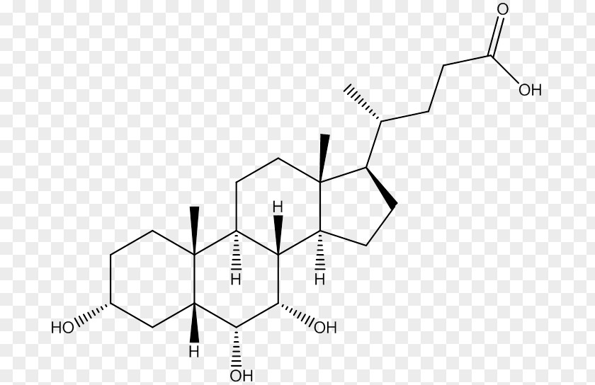 Alpha Hydroxy Acid Bile Chenodeoxycholic Acetic PNG