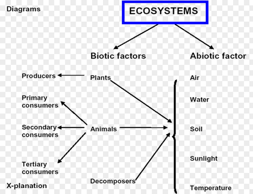 Ecosystem Ecology Document Decomposer Limiting Factor PNG