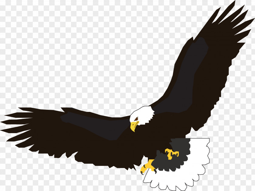 Flying Eagle Image Download Clip Art PNG