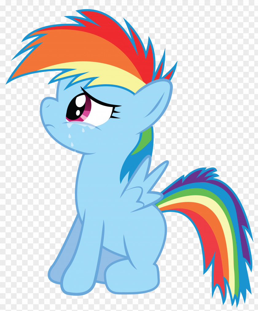 Rainbow Dash My Little Pony Applejack PNG