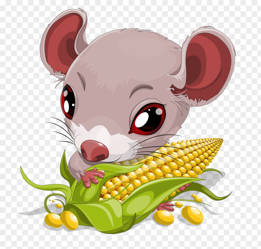Rat Eating Corn Mouse Cartoon Clip Art PNG