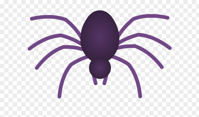 Spider Web Pholcus Phalangioides Clip Art PNG