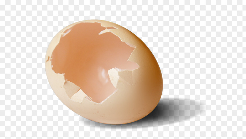 Broken Shell Eggs Chicken Egg Eggshell Peel PNG