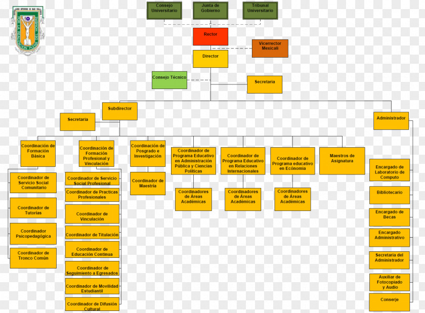 Line Brand Organization Diagram PNG