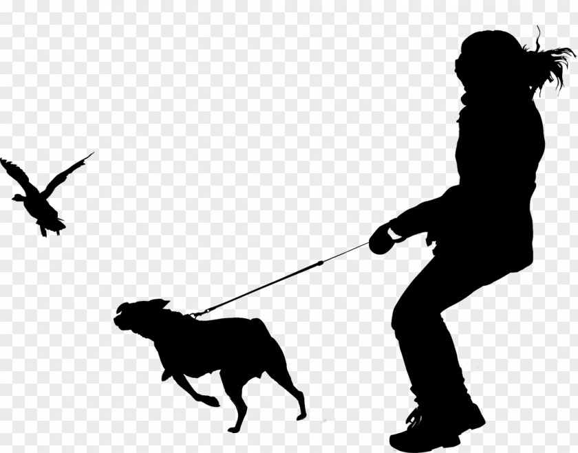 Dog Breed Human Behavior Leash PNG