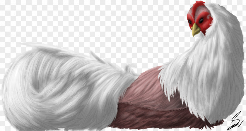 Feather Rooster Beak Fur Tail PNG