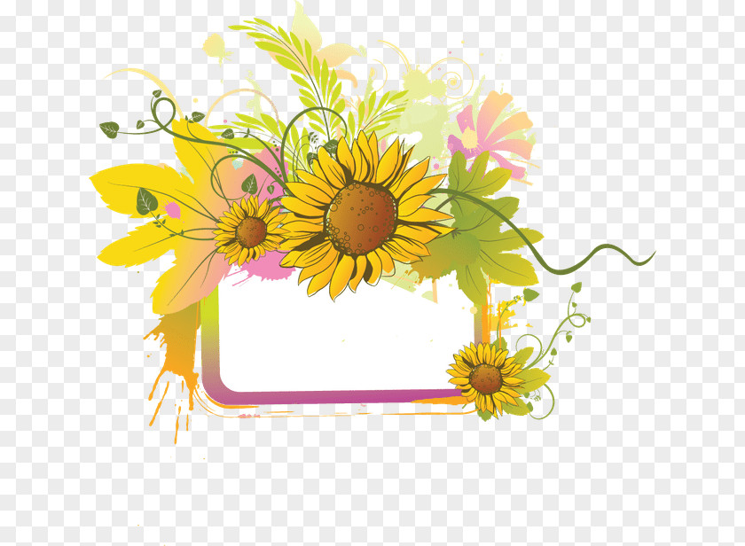 Flower Common Sunflower Daisy Family Clip Art PNG