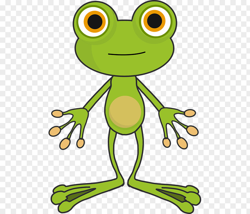 Frog T-shirt Toad Clip Art PNG
