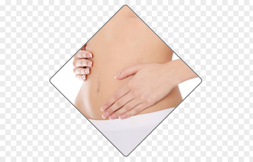 Pregnancy Areolar Gland Health Diet Abdominoplasty PNG