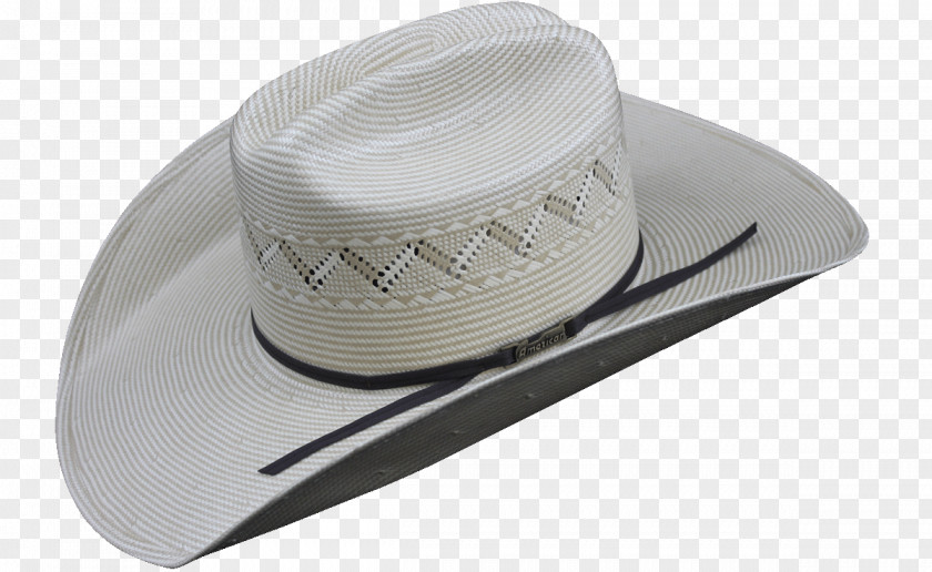 America Hat PNG