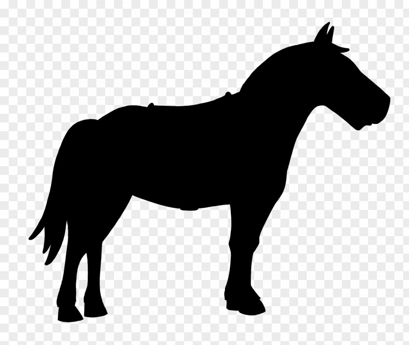 Australian Shepherd Horse German Vector Graphics Clip Art PNG