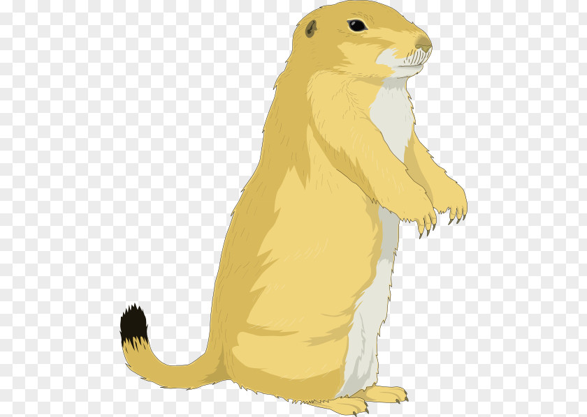 Dat Cliparts Groundhog Day Squirrel Clip Art PNG