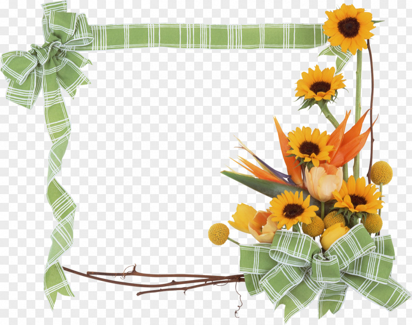 Sunflowers Frame Picture Paper Sticker Telegram PNG