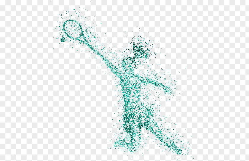 Tennis Field Ball Racket PNG