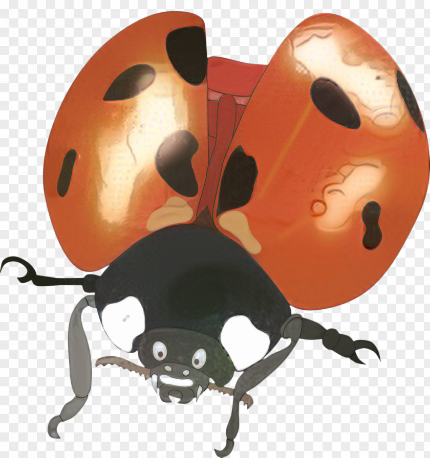 The Beetle Clip Art Design Ladybird PNG