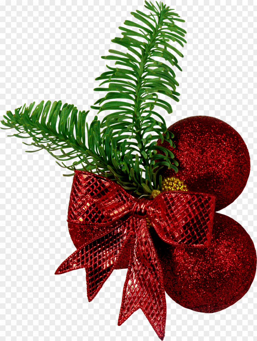 Hawaiian Christmas Ornament New Year Tree Clip Art PNG