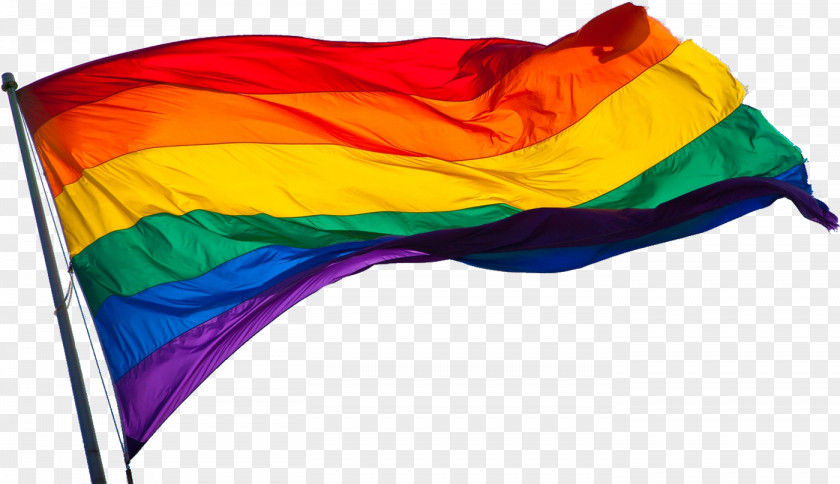 LGBT Flag PNG